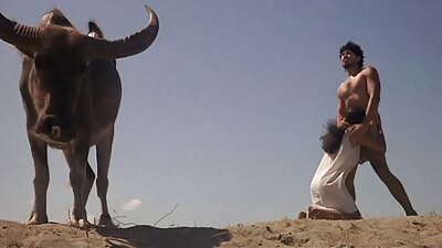 O minx sexy cu sâni mari iubește un ciocan mare cu buzele ei sexy